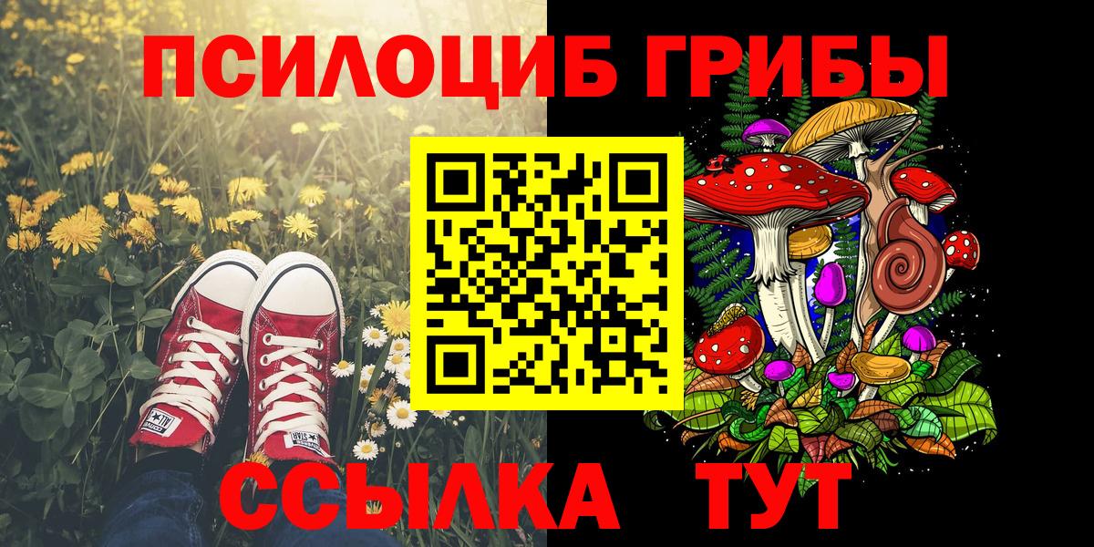 Псилоцибиновые грибы мицелий Минусинск