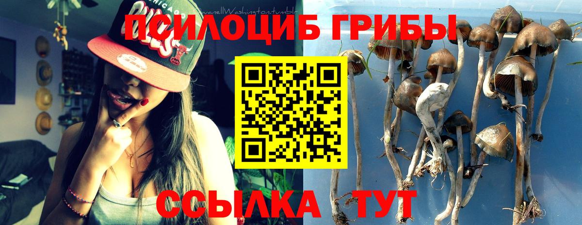Псилоцибиновые грибы мухоморы  Галлюциногенные грибы Psilocybine cubensis  Минусинск  Вход с VPN 